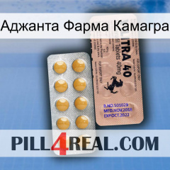 Аджанта Фарма Камагра 41